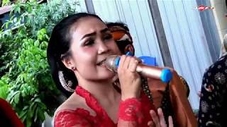Pamer Bojo Terbaru Dari Erna Cebret || Sangkan Paran Campursari