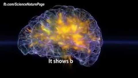 This is the most realistic brain visualization ever made.