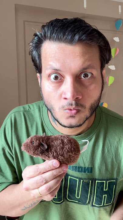 FOOD BALL 🥣⚾ #shorts #youtubeshorts #cricket #unboxing #ball #funny