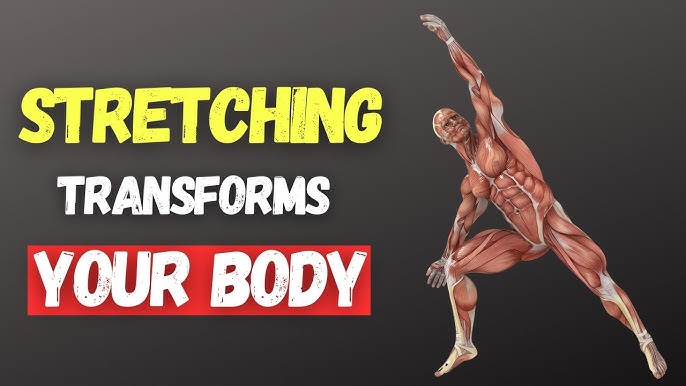 12 Benefits of Stretching  Backed by Science & Research