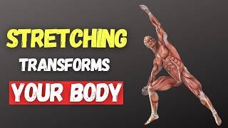 8 ways stretching makes your life better
