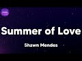 Shawn Mendes - Summer of Love (Shawn Mendes &amp; Tainy) (lyrics)