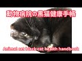 動物病院の黒猫健康手帳black cat nekota Animal cat black cat health handbook