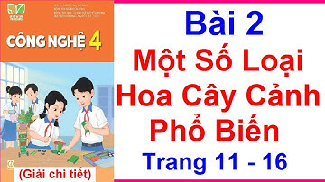 Công Nghệ Lớp 4 Bài 2 | Một Số Loại Hoa Cây Cảnh Phổ Biến | Trang 11 - 16 | Kết Nối Tri Thức