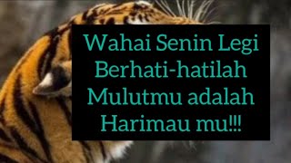 Wahai Senin Legi Berhati-hatilah Mulut mu Adalah Harimau mu!!! | @Qobiltu12