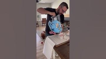 Zanvis Neon | Customer Feedback #shorts