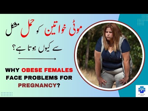 Why Obese Females Face Problems For Pregnancy موٹی خواتین کو حمل مشکل سے کیوں ہوتا ہے