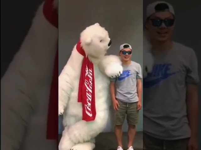 Coca-Cola Polar Bear class=