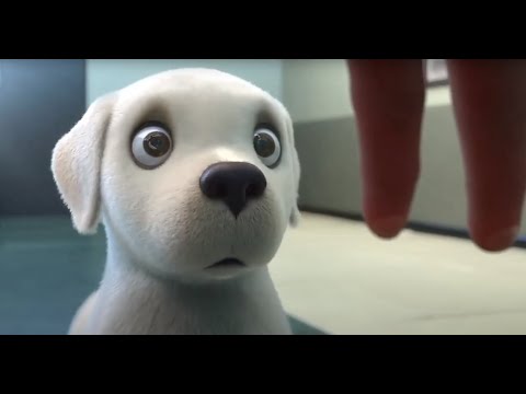 KAHRAMAN KÖPEK ANİMASYON FİLMİ / HERO DOG ANIMATION FILM