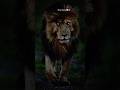 FVCK YOUR DEPRESSION | Do It Tired, Do It Angry, Do It Alone | Motivation for Warrior