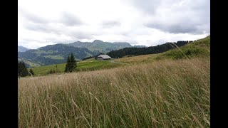 Die Cordeyena - eine Sage aus dem Schwarzseetal und Heitenried