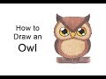 How to Draw an Owl (Cartoon)