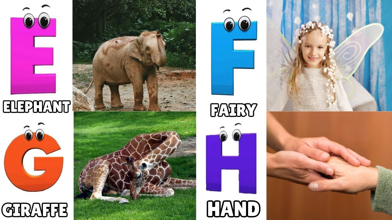 Alphabets Song for Toddlers | ABC Phonics | Nursery Rhymes