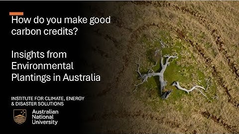 How do you produce good carbon credits? Insights from Environmental Plantings projects in Australia