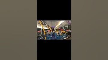 Real Time Bus Capacity Monitoring with YOLOv12