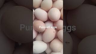 Pure nati eggs