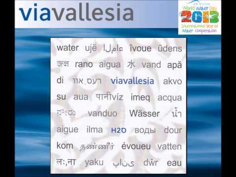 Denize Akan Yürekler - ViaVallesia - H2O