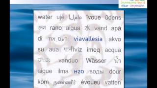 Denize Akan Yürekler - Viavallesia - H2O