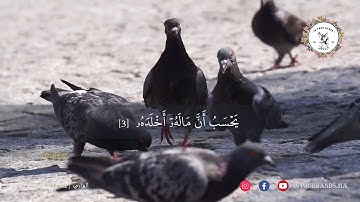 تلاوة رائعة لسورة الهمزة مع القارئ  حسن الفاضلي