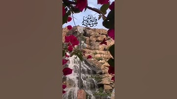 مقطع جميل عن الصلاه على النبي عليه الصلاة والسلام ❤️ تلاوه خاشعه.