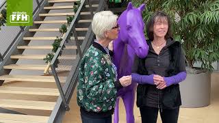 Ann Kathrin Linsenhoff Und Das Lila Pferd Zu Besuch Bei Radio Tele Ffh