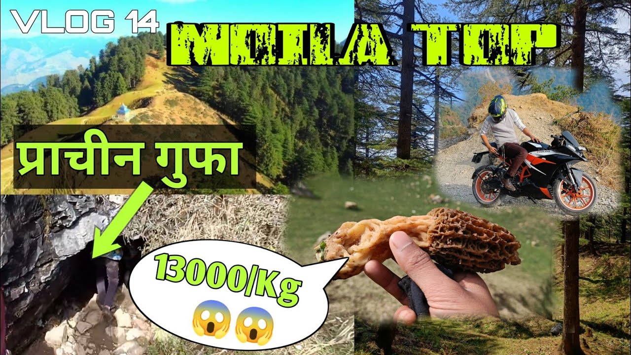 Moila Top Me March Month mei Barf 😱