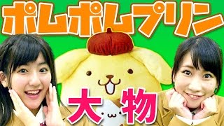 【クレーンゲーム】大きなポムポムプリンぬいぐるみ奇跡ゲット！