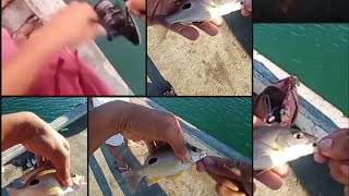 Handline Fishing Fishing Rodlure Daming Huli Mga Ka Tinik