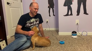 CAS Spring Meeting 2019 -  Insurtechs and IoT