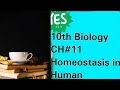 Homeostasis in human class 10th //homeostasis in human class 10th biology/ misbah tuition center