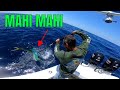 Mahi mahi fishing with on the hook charters out of ponce inlet