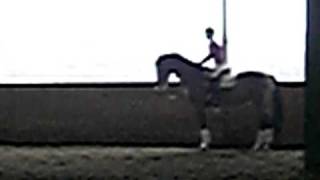 Lara Riding Ruby-Jumping 3-Long Distance-Great Ride