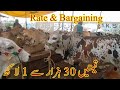 Ak Bar Per Gate No 5 k Rate & Bargaining Sohrab Goth Cow Mandi 10 July 2020