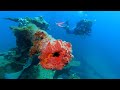 SCUBA Dive WW2 Japanese Cargo Ship Wreck, Asakaze Maru (K-5 Bouy Upright), Kwajalein Atoll 5/16/2022