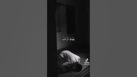 أفضل حالات واتس قران كريم الشيخ ادريس أبكر اية كتب ربكم على نفسة الرحمة