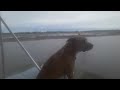 Gators big adventure prison the Intracoastal on the motor vessel big dog