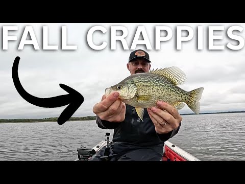 Wisconsin Fall Crappies: Finding Suspended Slabs