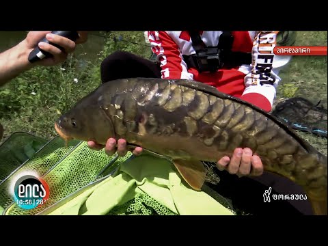 თევზაობა დიდ კობრზე TV ფორმულასთან ერთად