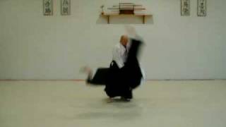 vid_aikido_021.avi