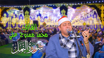 القارئ محمد ممدوح علي صالح ربع العشاء رائعة النمل | ديرب البلد ديرب نجم 13-3-2023