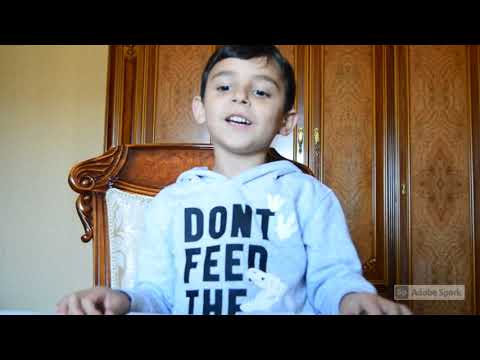 Make a lion with me /გააკეთეთ ლომი ჩემთან ერთად