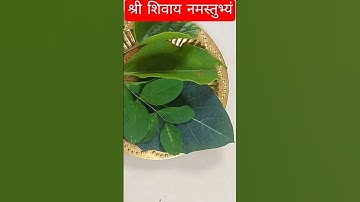 5 मई सोमवार को अष्टमी को करें निर्मल महादेव का नाम लेकर पांच वृक्ष की पत्ति उपाय #upay #aaj