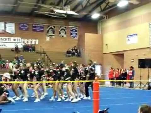 ycoa cheerleading