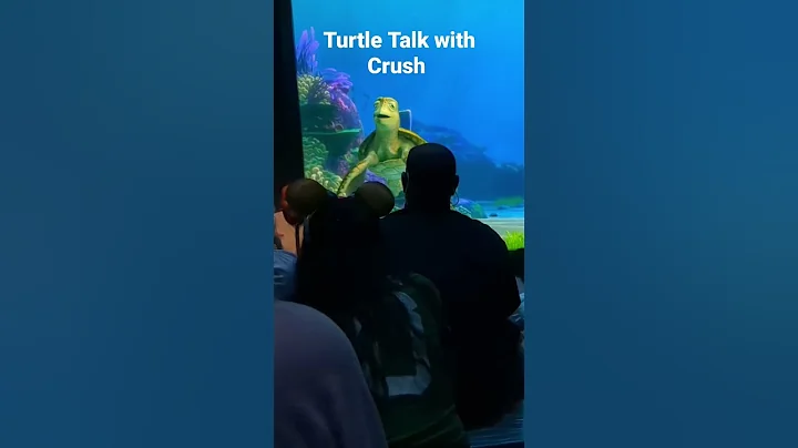 Turtle Talk with Crush at EPCOT