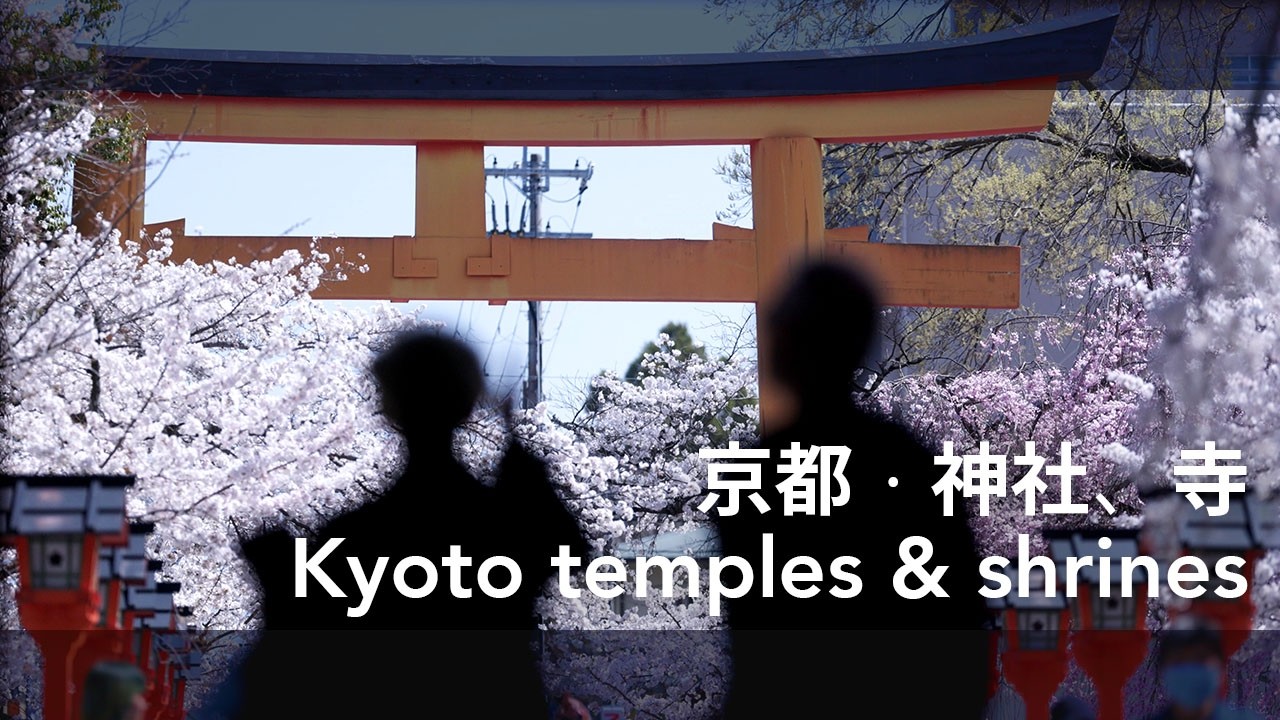 kyoto I temples and shrines I spring blossom～京都・神社、寺・春桜