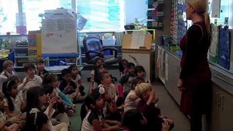 Whole Brain Teaching "The Five Rules" (and Mirroring)