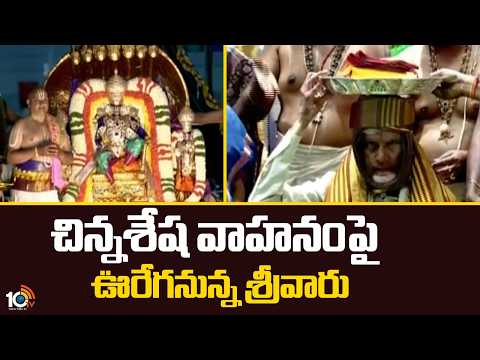 Chinna Sesha Vahanam Seva in Tirumala | చిన్నశేష వాహనంపై ఊరేగనున్న శ్రీవారు | 10TV News - 10TVNEWSTELUGU