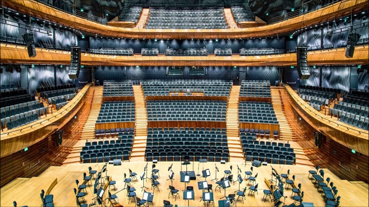 Concert Hall Background Noise | Human Sounds Concert Hall Background Noise | Human Sounds