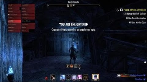 ESO Glitch: stuck in combat, can
