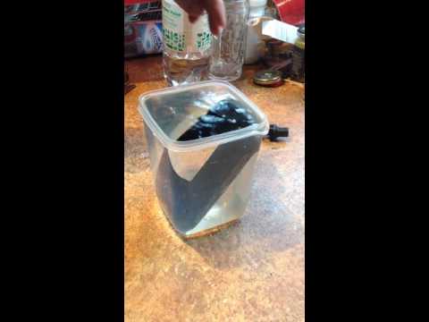 Ruggear RG730 blowing bubbles